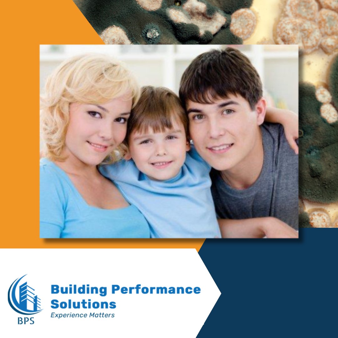 Pet-Friendly Mold Removal Solutions: Ensuring Safety for Your Furry Friends 