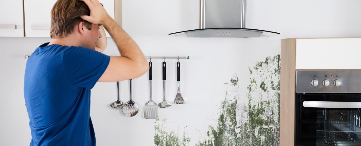  Will Household Mold Perish Unaided? 